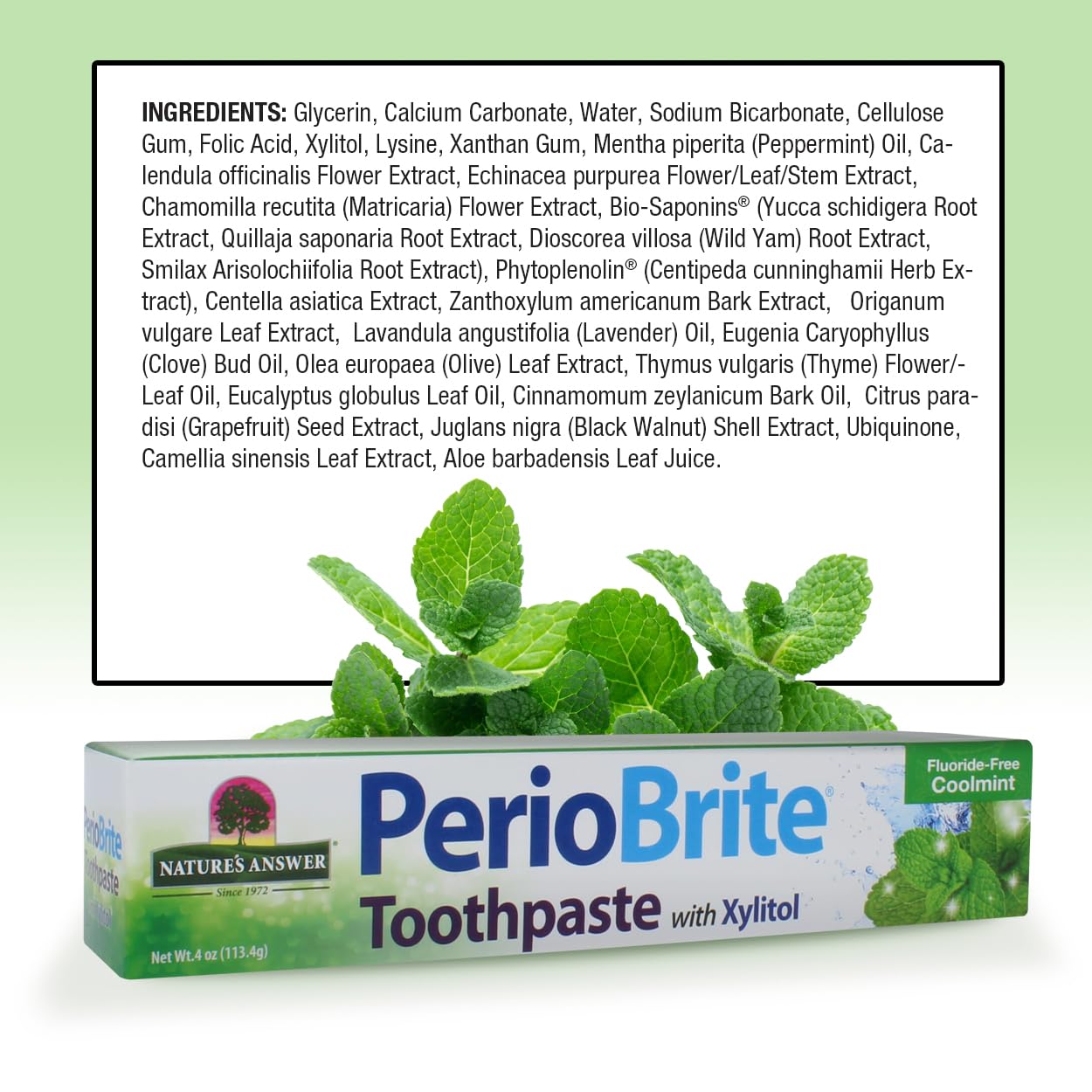 Nature's Answer PerioBrite Natural Toothpaste - Cool Mint, 4 oz (2 Pack) Fluoride Free