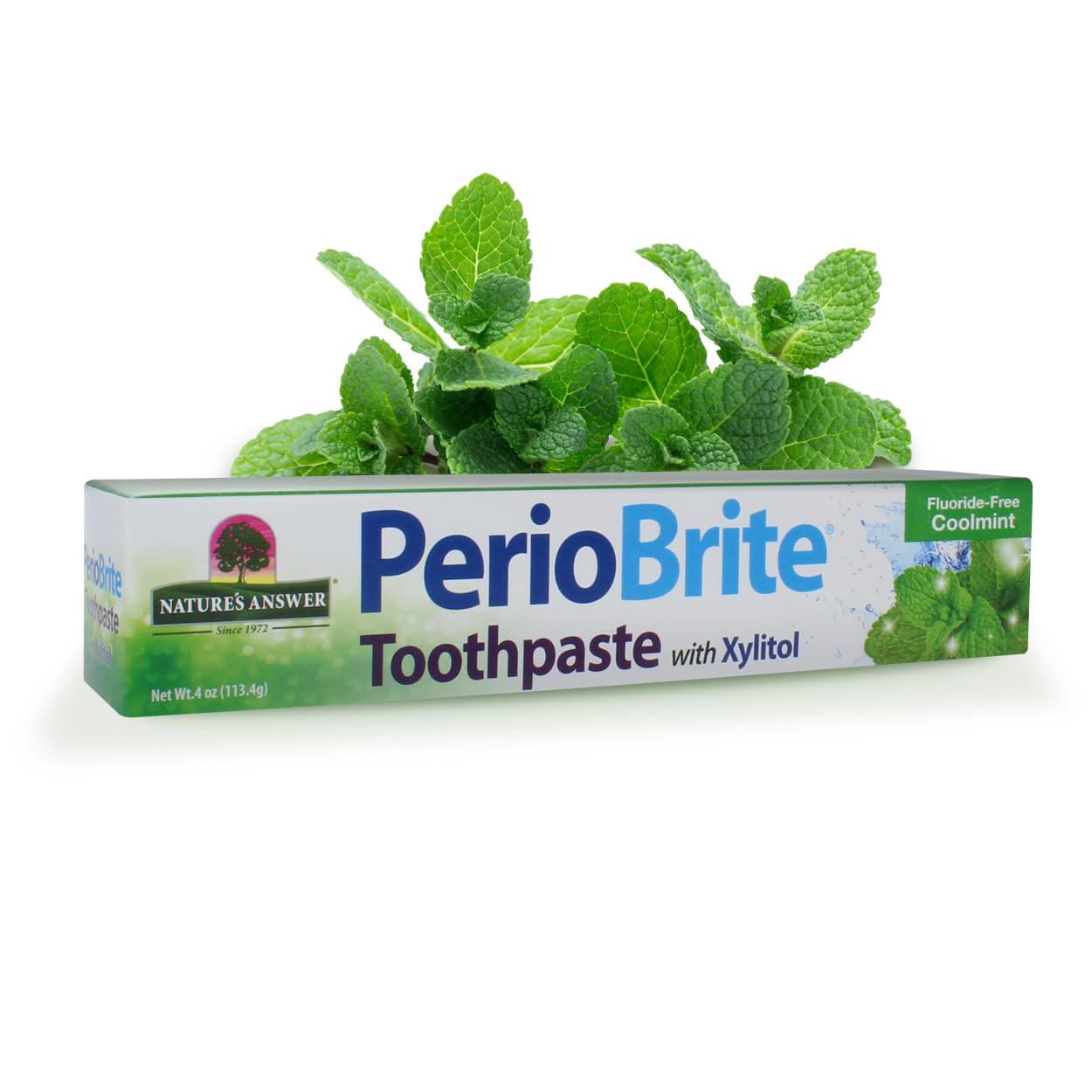 Nature's Answer PerioBrite Toothpaste Cool Mint Pack of 6 – For Sensitive Teeth | Whitens Teeth & Freshens Breath