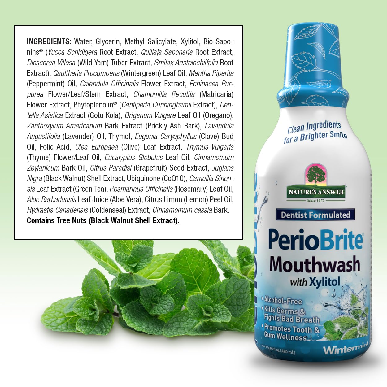 Nature's Answer PerioBrite Winter Mint Mouthwash – Fluoride-Free, Alcohol-Free & Vegan (16oz)