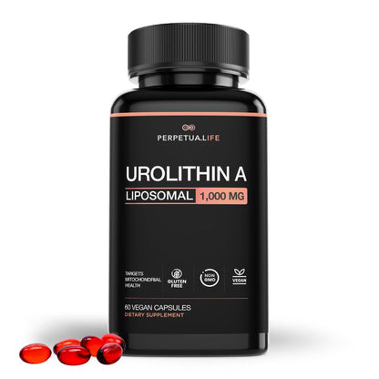 Perpetua Life Urolithin A Liposomal 1000mg | 60 Vegan Capsules | Gluten Free