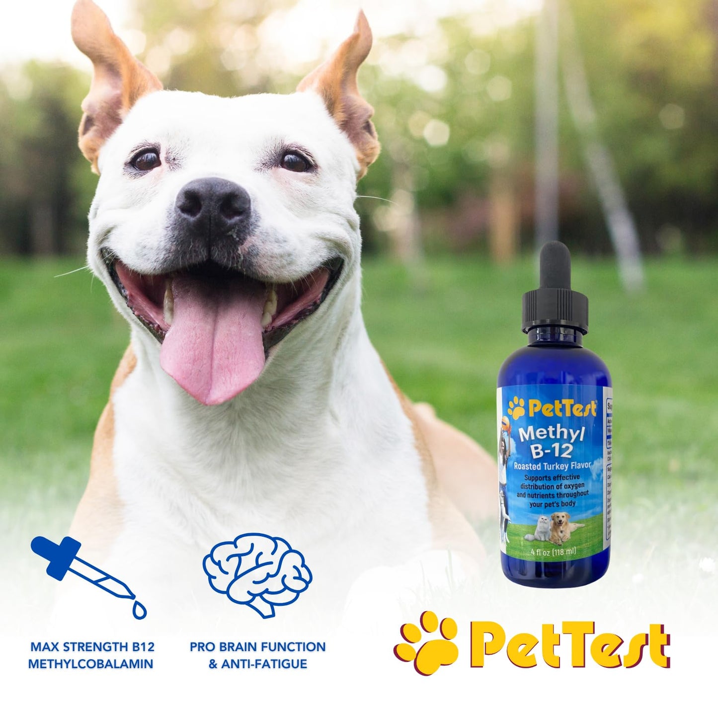 PetTest Methyl B12 Drops - 4 fl oz (5000 mcg) for Diabetic Pets
