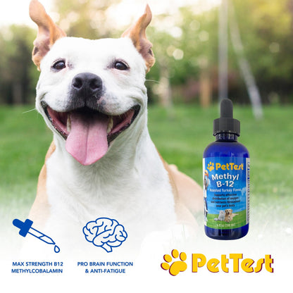 PetTest Methyl B12 Drops - 4 fl oz (5000 mcg) for Diabetic Pets