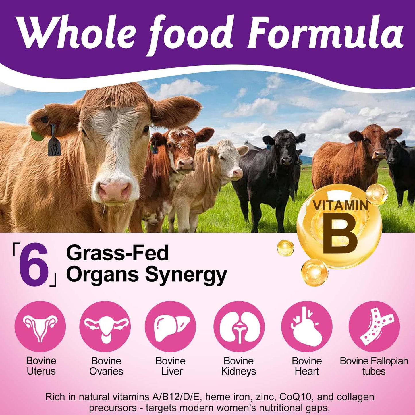 Beef Organ Supplement for Women – Grass-Fed Liver Capsules for Hormone Balance