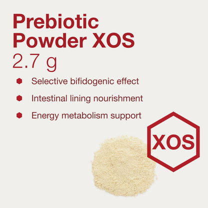 Protocol for Life Balance Prebiotic Powder XOS – 1.55g per Serving | Gut Health & Intestinal Flora | Kosher & Non-GMO | 3 oz (Pack of 2)