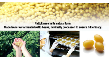 PHARMAKON Nattokinase — Bioavailable Soft Capsules, Organic Fermented Soybean Extract, 6000 FUs