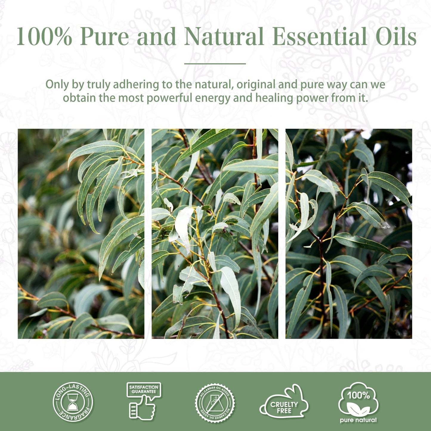 PHATOIL 100ML Eucalyptus Essential Oil | Diffuser, Soap & Candle Making – 3.38 fl oz