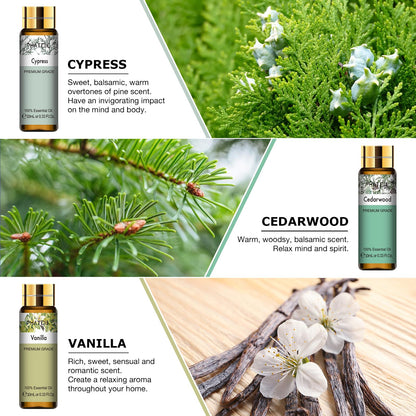 PHATOIL Premium Essential Oil Set – 9x10ml Pure Oils for Massage, Aromatherapy & Diffusers