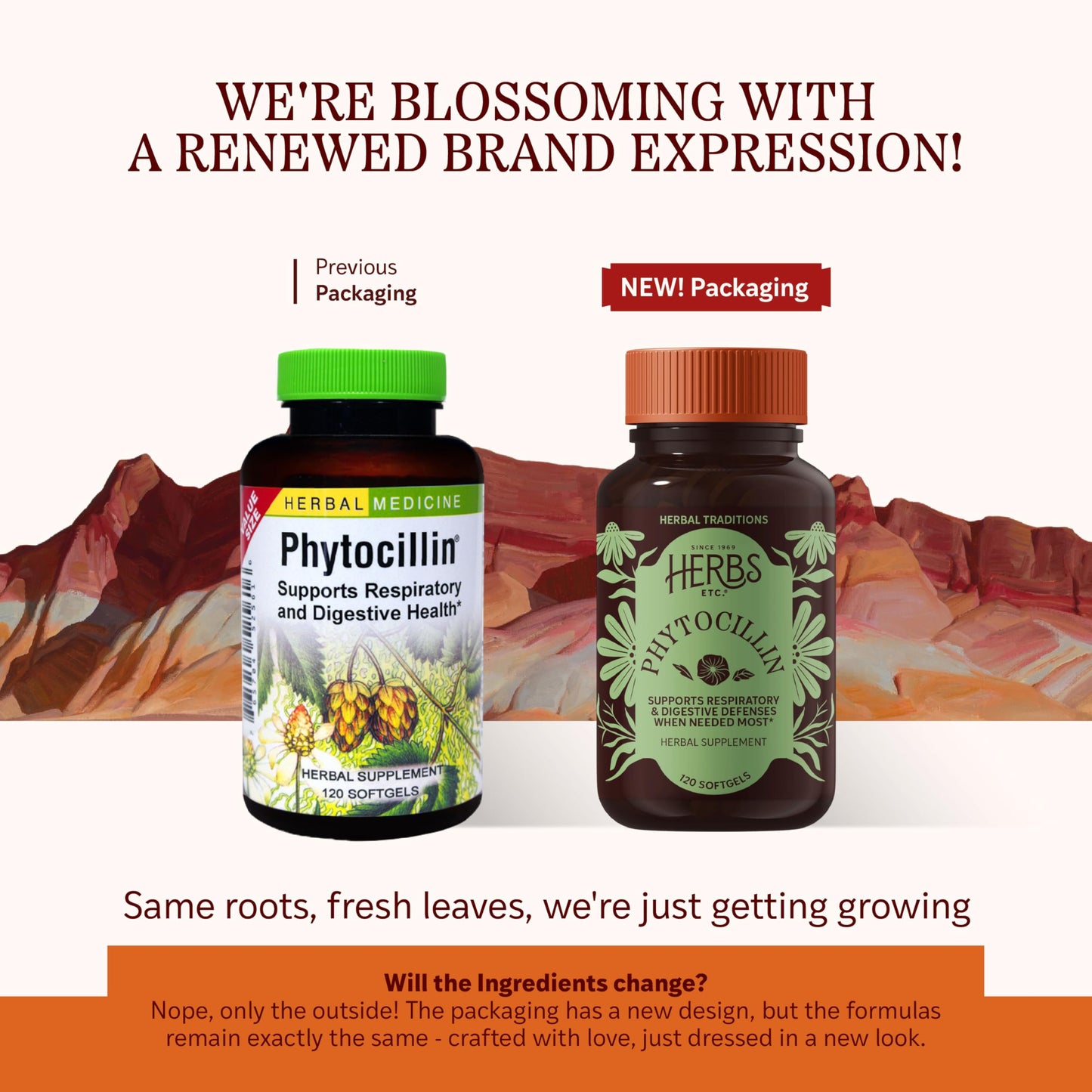 Herbs Etc. Phytocillin: Respiratory & Digestive Health Support | 120 Softgels