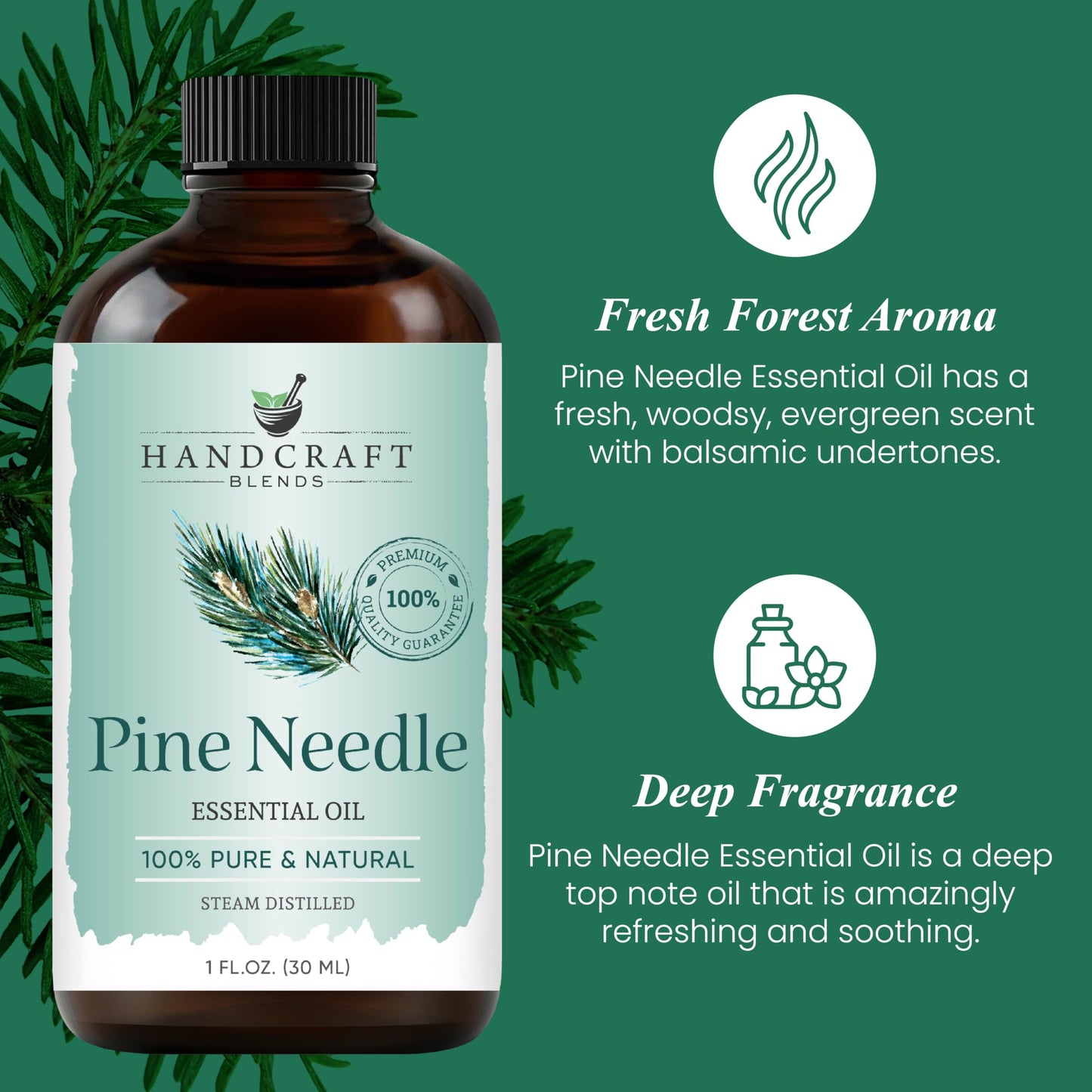 Handcraft Blends Pine Essential Oil – 1 Fl Oz | 100% Pure & Natural