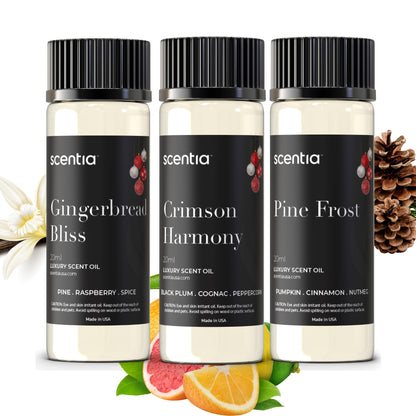 Christmas Fragrance Oil Set – Winter Oils for Diffusers & Candle Making (3×20ml)