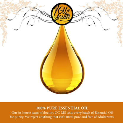 Oil of Youth Pine Essential Oil 16oz | Pure Pine Oil for Diffusers & Cleaning