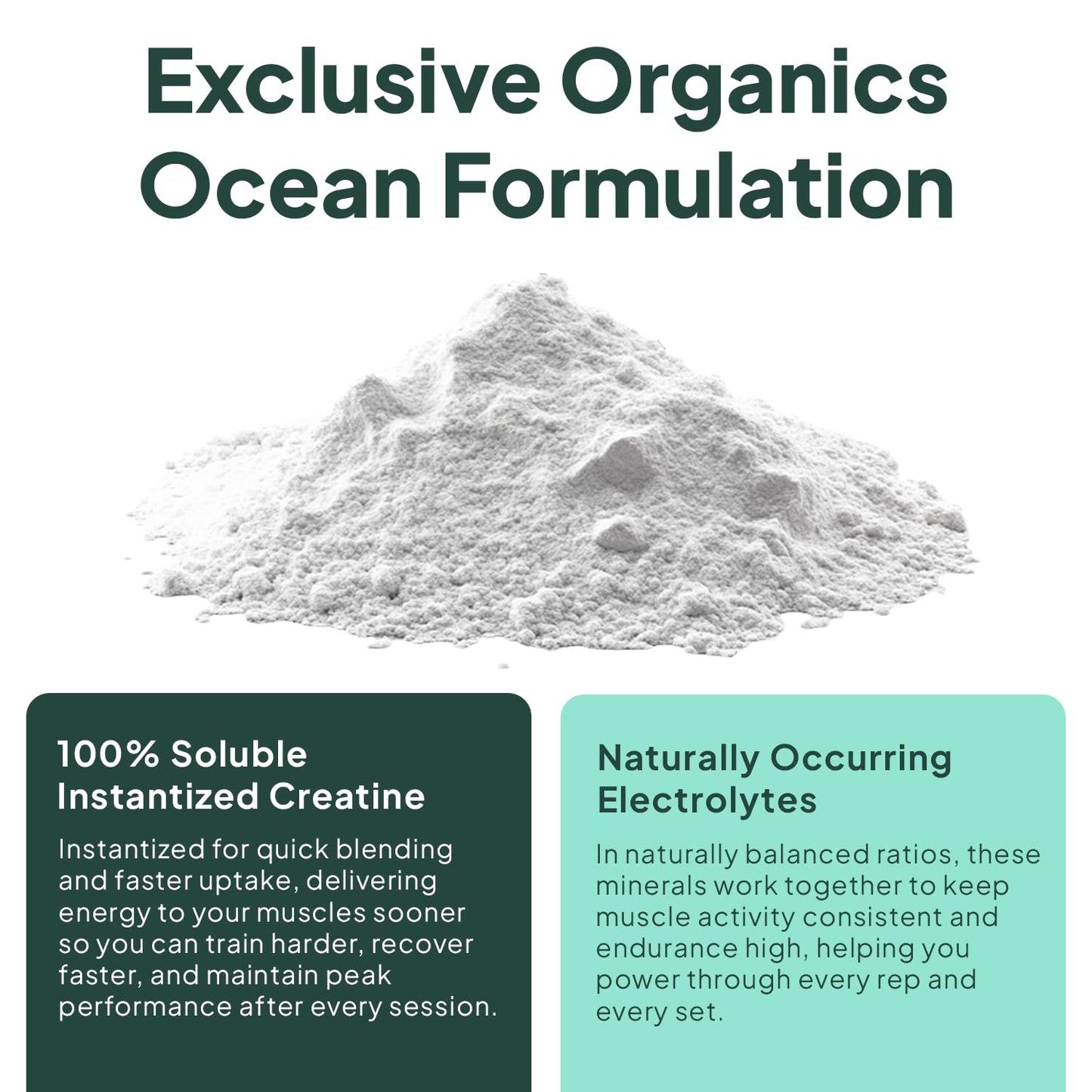 Organics Ocean Krealyte Fusion: Instantized Creatine Monohydrate + Electrolytes, Pink Lemonade, 30 Servings