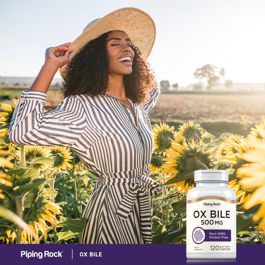 Piping Rock Ox Bile Supplement 500mg | 120 Capsules | Digestive Enzyme | Non-GMO, Gluten Free | Pack of 2
