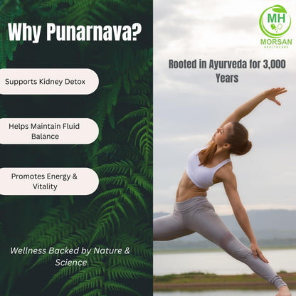 Morsan Healthcare Punarnava Capsules 500mg – 60 Veg Capulses | Kidney & Liver Support