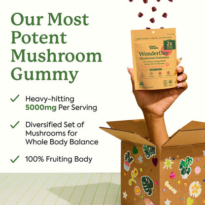 WonderDay Extra Strength Mushroom Gummies | Plant People – Sugar-Free, 60 Count