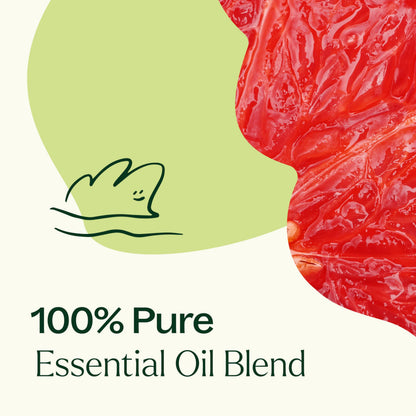 Brain Aid Essential Oil Blend for Focus & Attention – Plant Therapy 10 mL