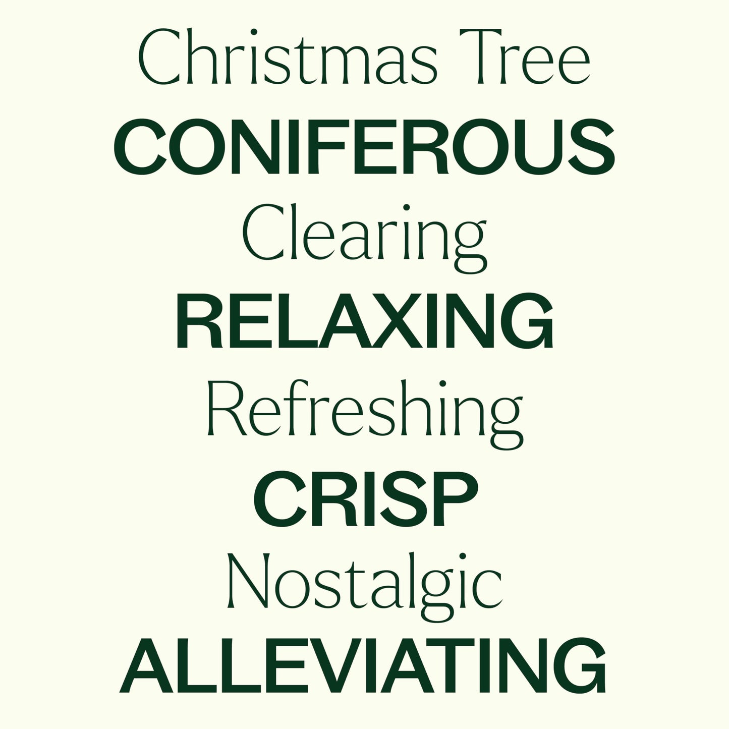 Plant Therapy Christmas Tree Essential Oil Blend 10 mL – Crisp & Refreshing Holiday Scent