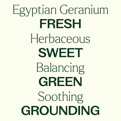 Plant Therapy Organic Egyptian Geranium Essential Oil - 100% Pure, USDA Certified Organic, 5 mL