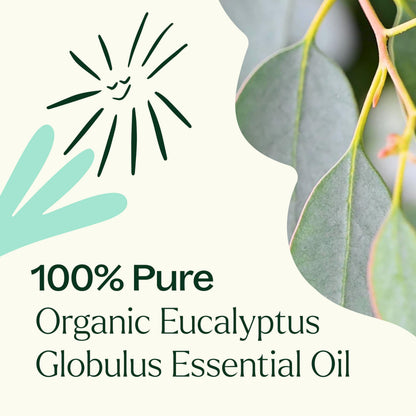 Plant Therapy Organic Eucalyptus Globulus Essential Oil - 10 mL, 100% Pure, USDA Organic