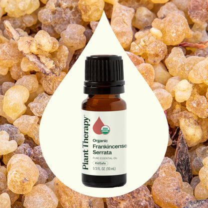 Plant Therapy Organic Frankincense Serrata Essential Oil – 100% Pure, USDA Certified Organic, Undiluted, Therapeutic Grade 10 mL