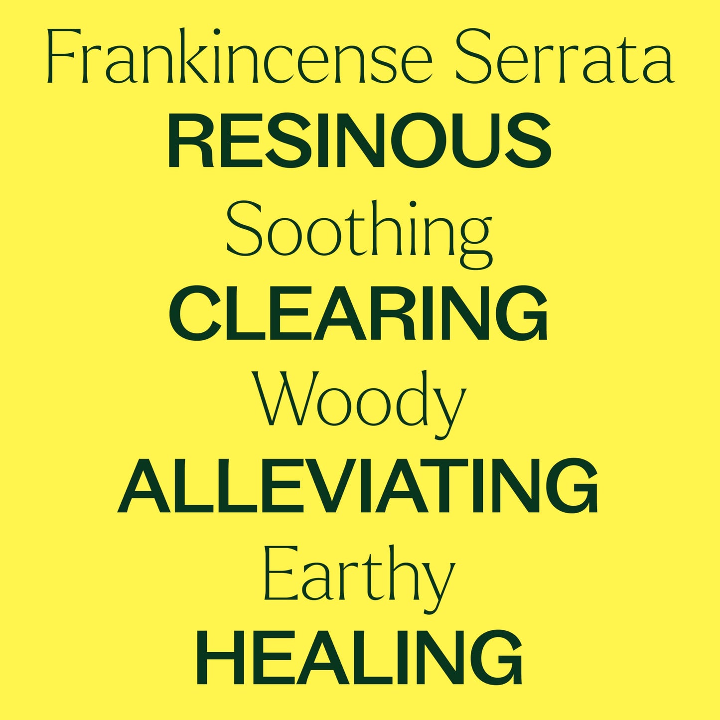 Plant Therapy Organic Frankincense Serrata Essential Oil – 100% Pure, USDA Certified Organic, Undiluted, Therapeutic Grade 10 mL