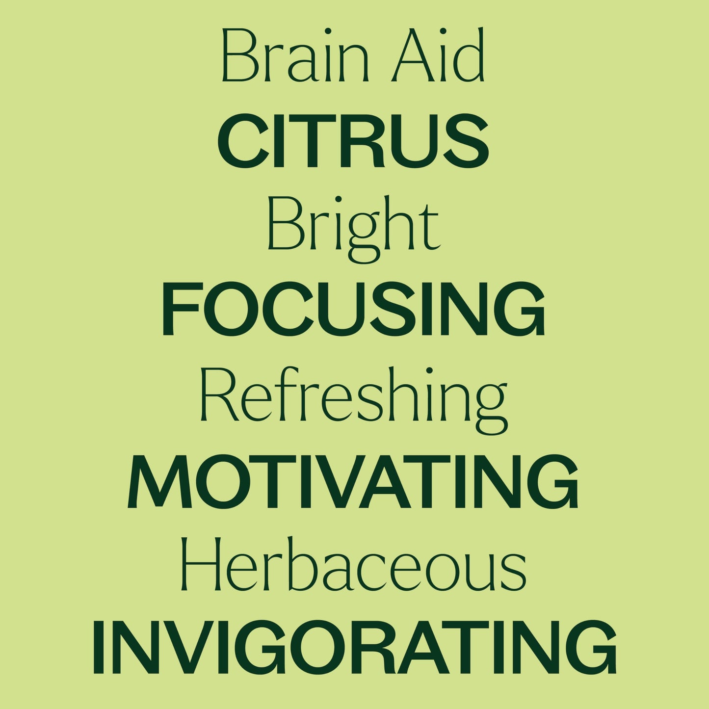 Brain Aid Essential Oil Blend for Focus & Attention – Plant Therapy 10 mL