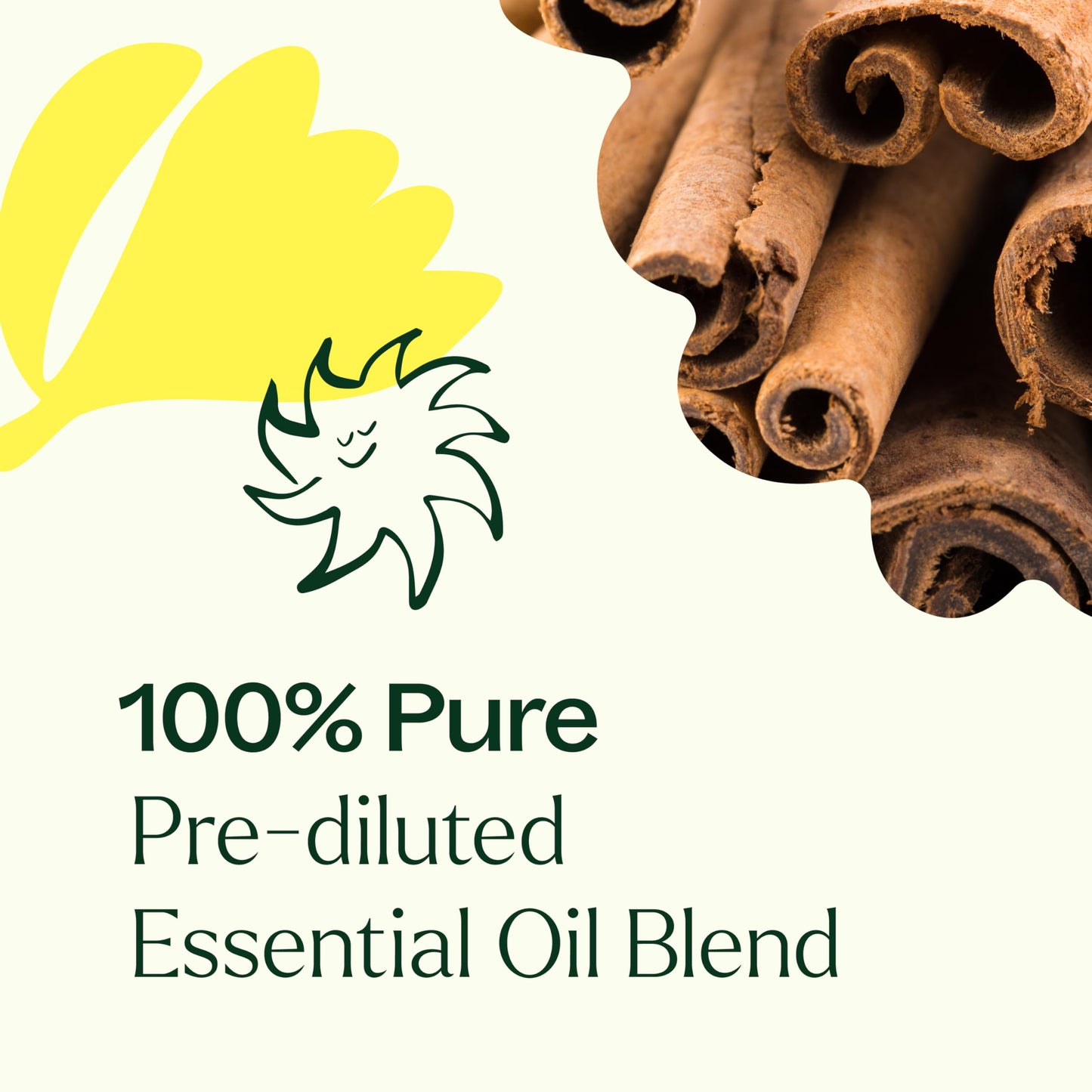 Plant Therapy Germ Fighter Essential Oil Blend — 100% Pure, Roll-On 10 mL
