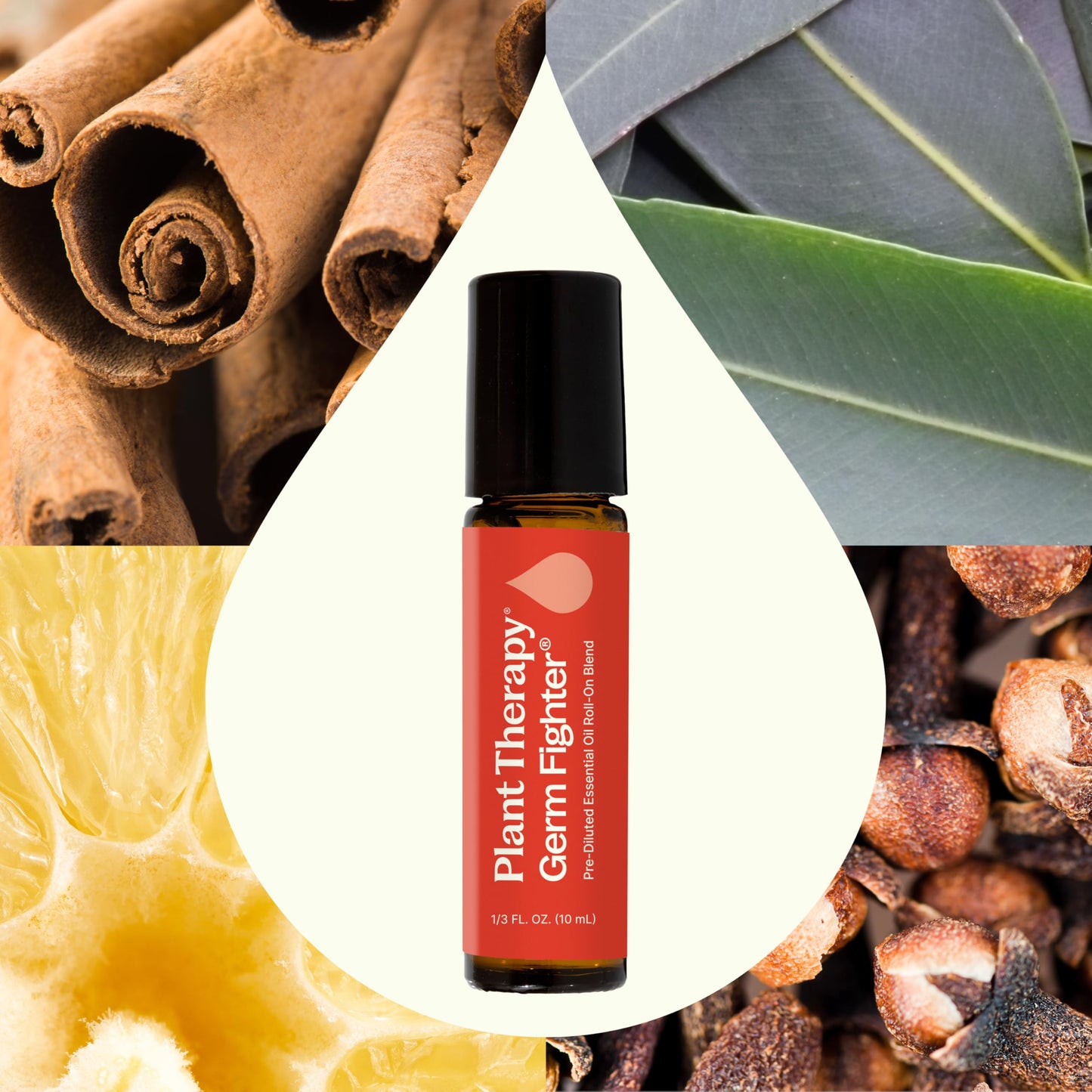 Plant Therapy Germ Fighter Essential Oil Blend — 100% Pure, Roll-On 10 mL
