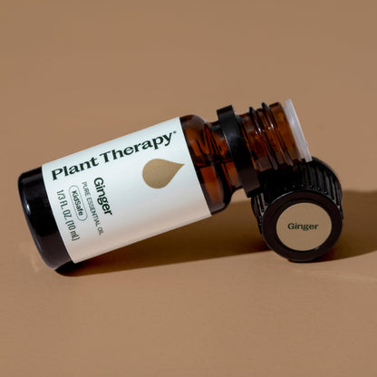 Plant Therapy Ginger Steam Distilled Essential Oil 10 mL (1/3 oz) 100% Pure, Undiluted, Natural Aromatherapy