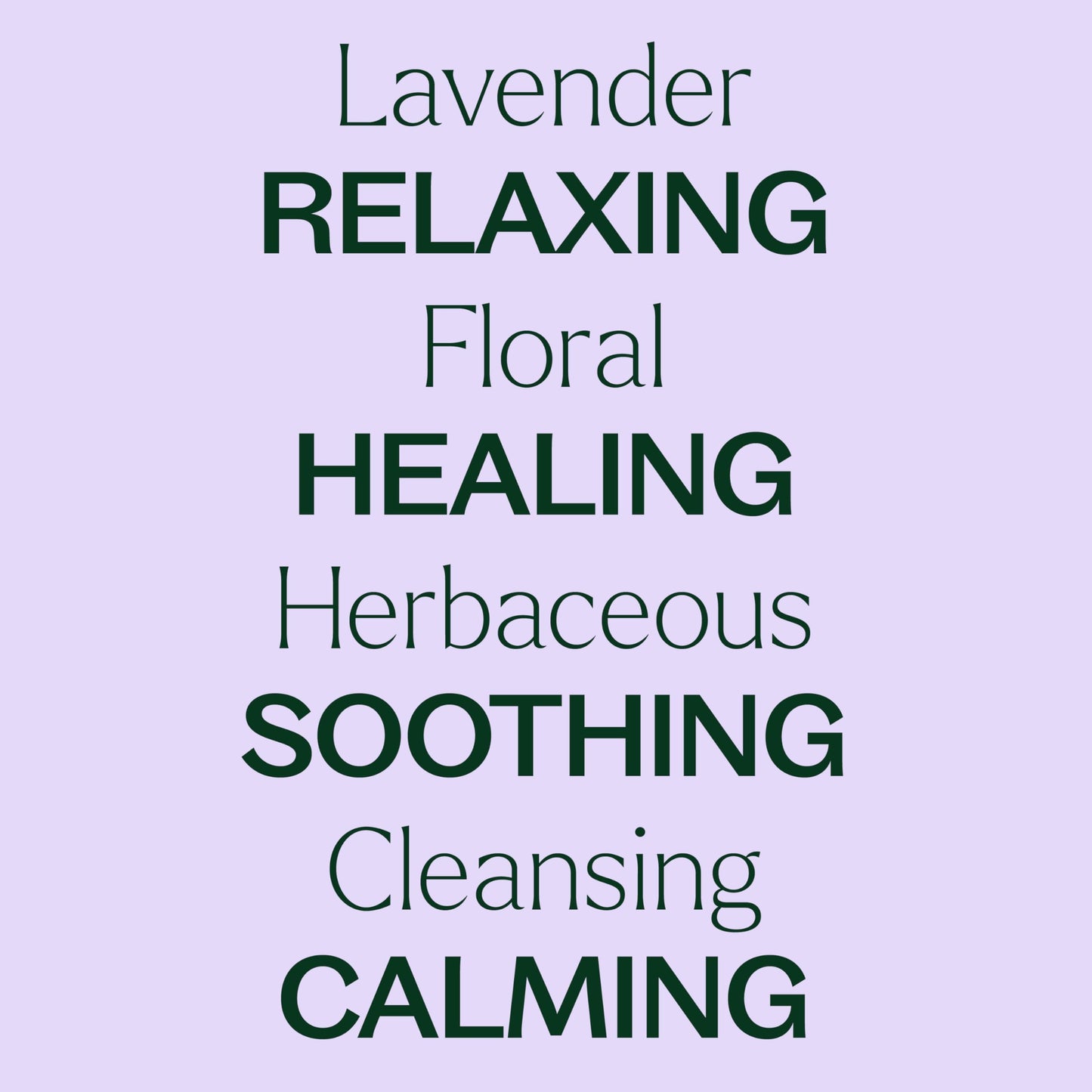 Plant Therapy Lavender Essential Oil – 100 mL (Undiluted), 100% Pure & USDA Organic