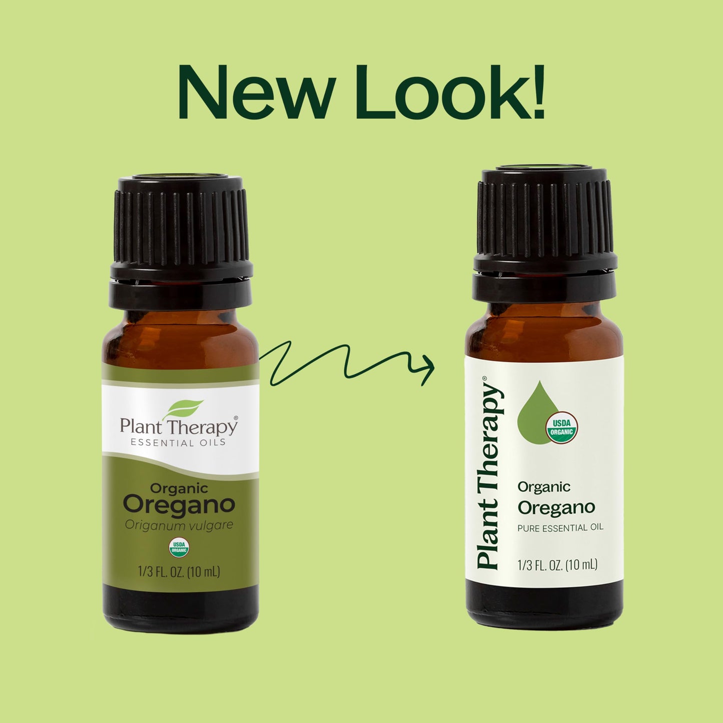 Plant Therapy Organic Oregano Essential Oil 100% Pure – USDA Organic, Therapeutic Grade 10 mL