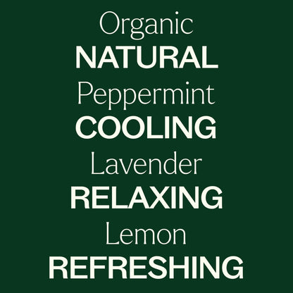 Plant Therapy Organic Essential Oil Singles Set - Lemon, Lavender & Peppermint (10 mL)
