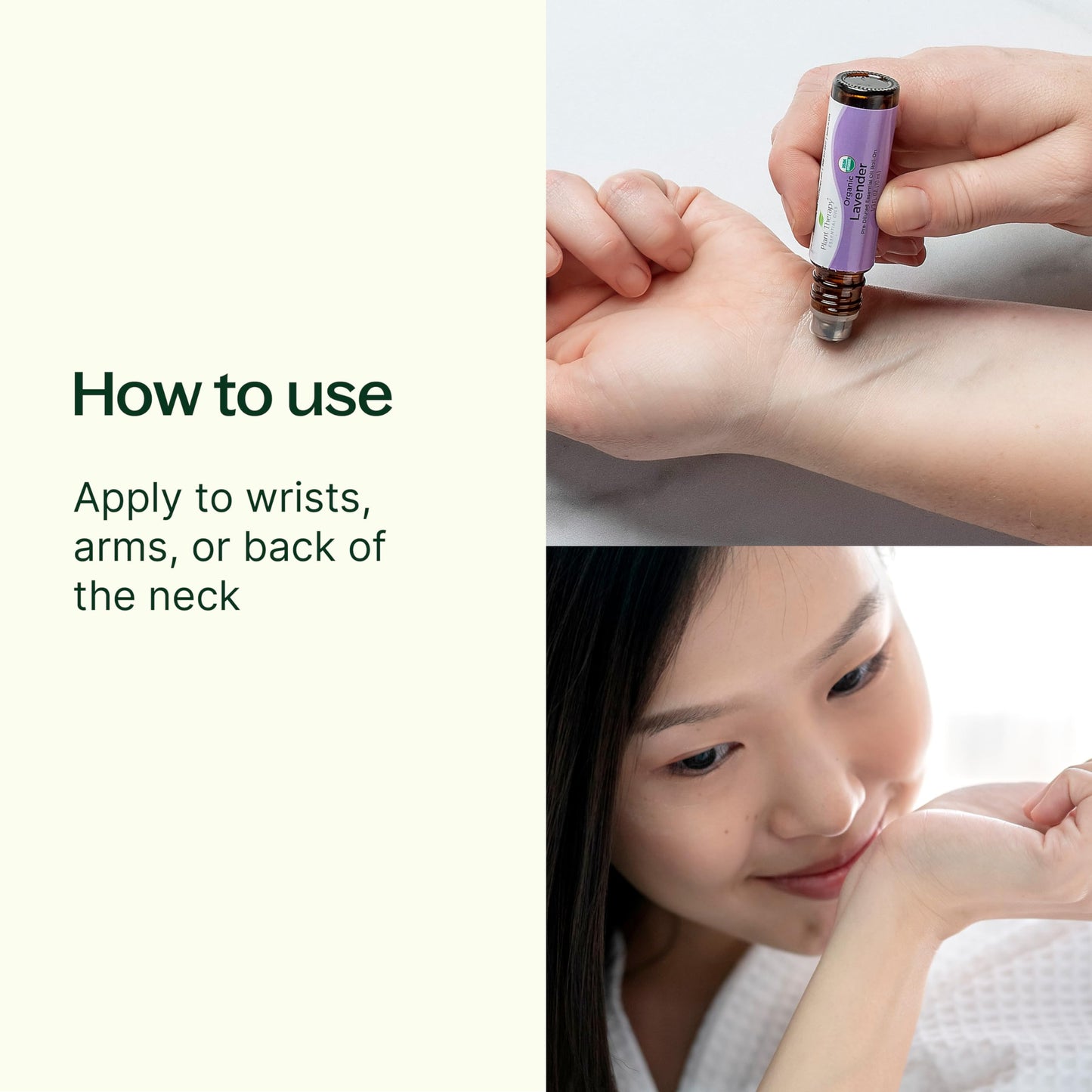Plant Therapy Rose Absolute Roll-On 10 mL – 100% Pure Essential Oil Perfume