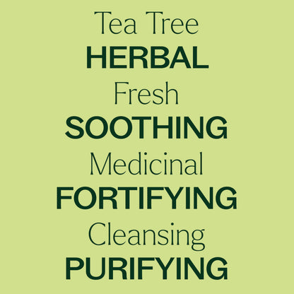 Plant Therapy Tea Tree Essential Oil 100% Pure – Pre-Diluted Roll-On (10 mL) Pack of 2