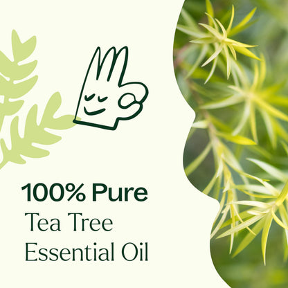 Plant Therapy Tea Tree Essential Oil – 100% Pure, Pre-Diluted Roll-On, 10 mL | Therapeutic Grade