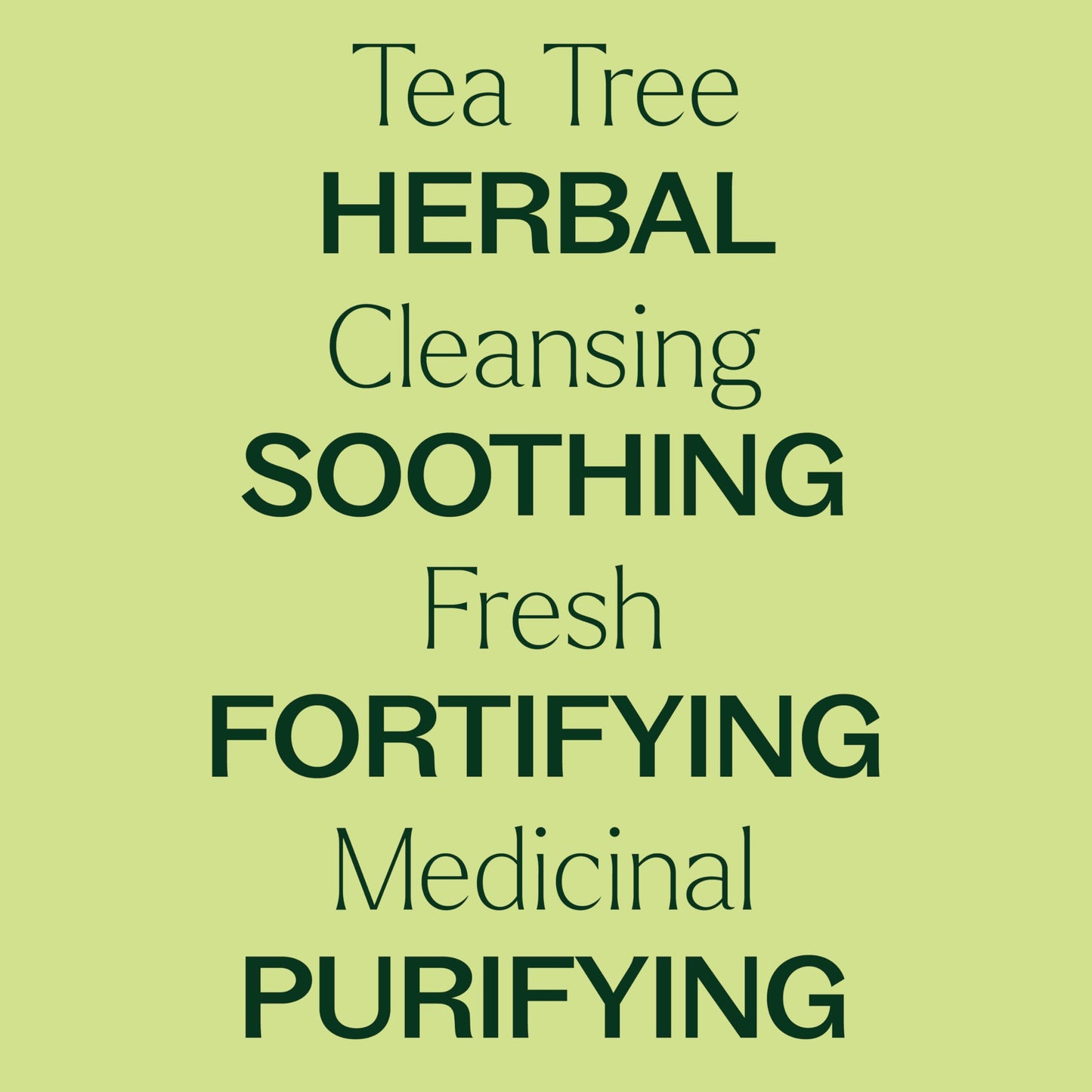 Plant Therapy Tea Tree Oil – 100% Pure, USDA Certified Organic Melaleuca (30 mL)