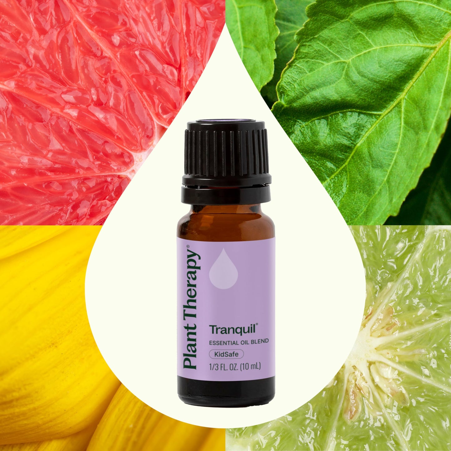Plant Therapy Tranquil Essential Oil Blend – Peace & Calming, 10 mL
