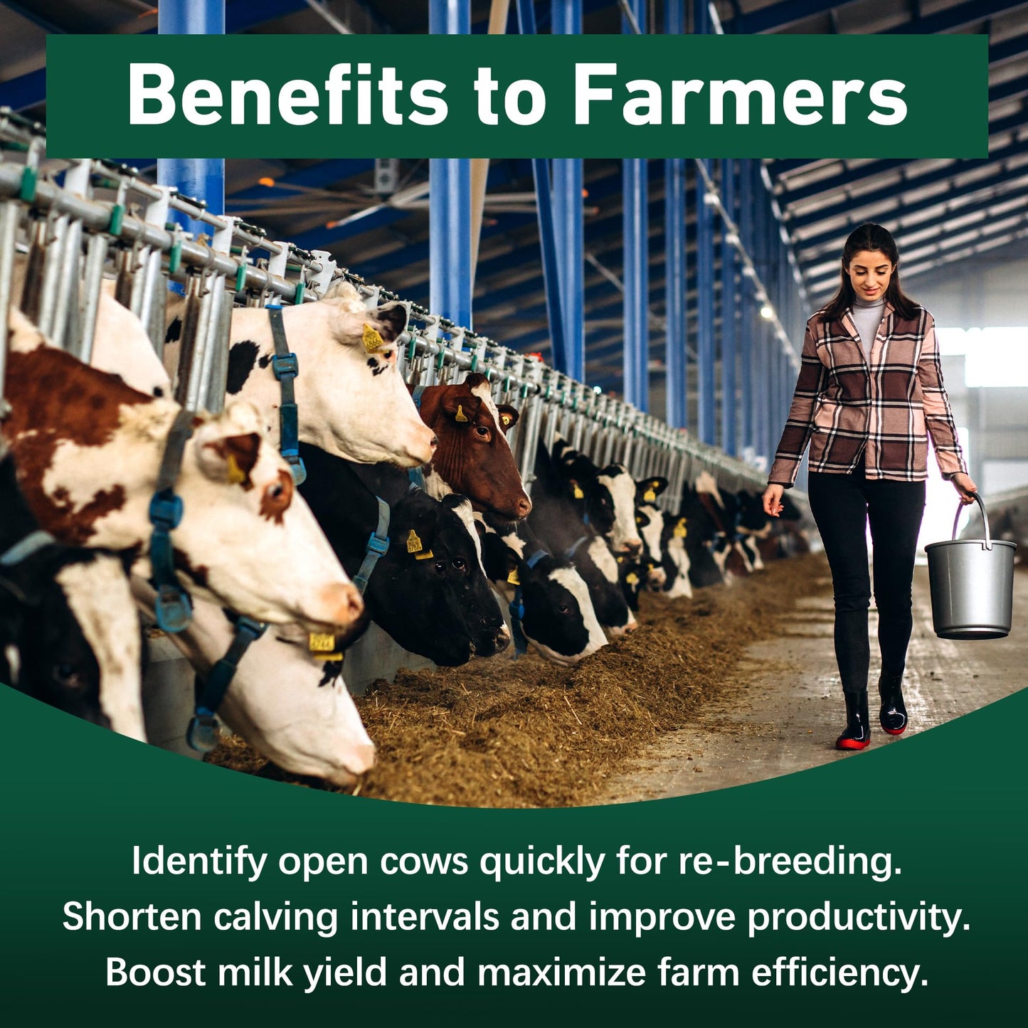 Bovine Pregnancy Test Kit - 2 Tests, Rapid 5-20 Minute Results for Dairy & Beef Cows