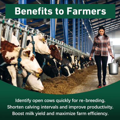 Bovine Pregnancy Test Kit - 2 Tests, Rapid 5-20 Minute Results for Dairy & Beef Cows