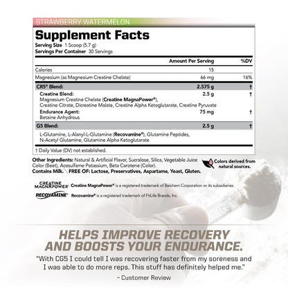 PMD Sports CG5 Premium Creatine & L-Glutamine Powder – Power, Recovery, Lean Muscle (Strawberry Watermelon, 30 Servings)