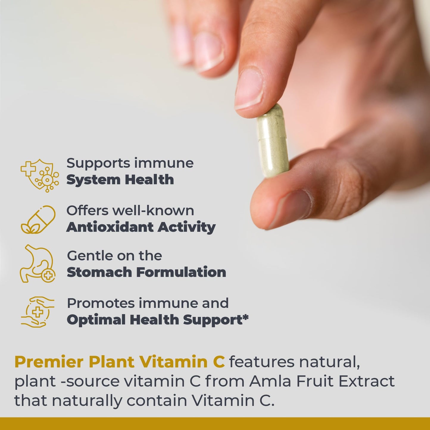 Premier Research Labs PneumoVen - Lung Support with Bromelain & NAC (60 Capsules)
