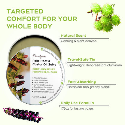 Poke Root & Castor Oil Salve - 1.76oz (50g) – Vegan Lymphatic Support Massage Balm