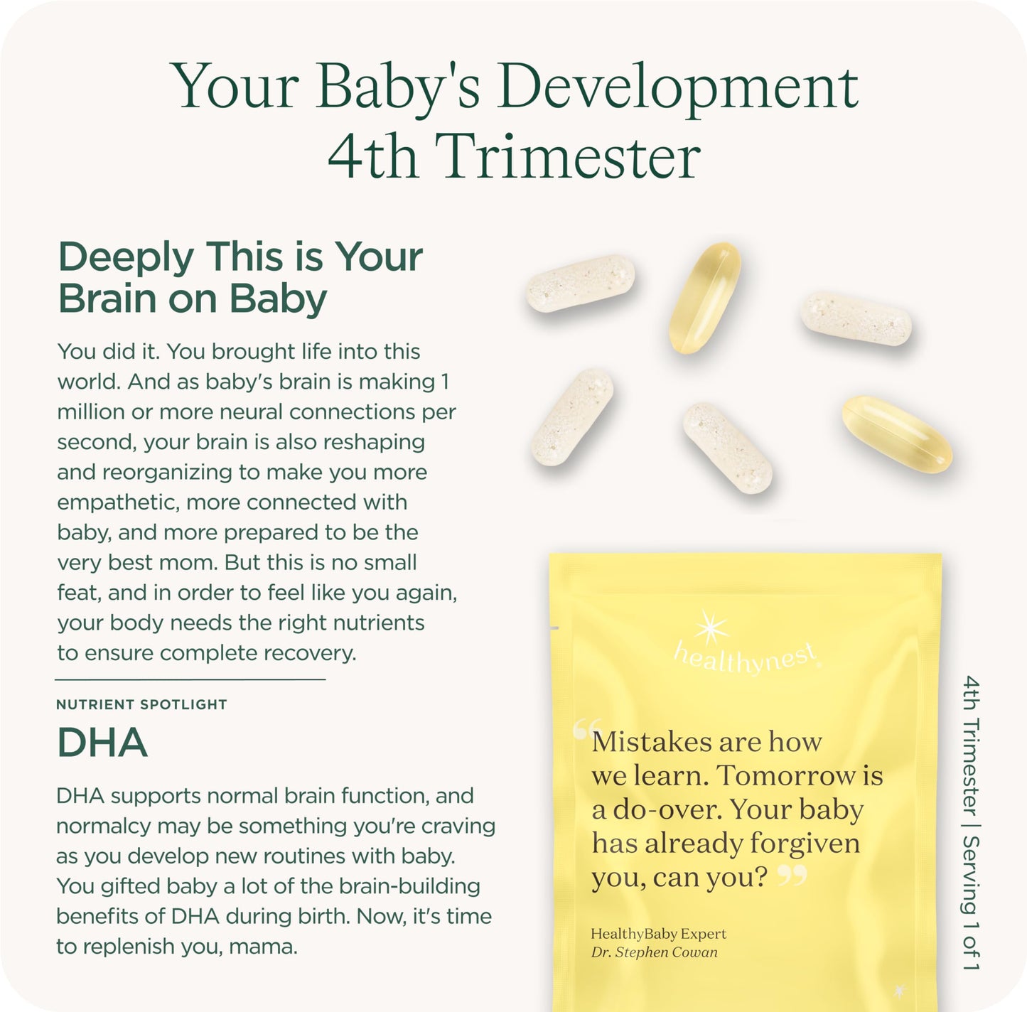 HealthyNest Postnatal & 4th Trimester Prenatal Vitamin | Made with Methylated Folate, Choline, DHA, Iron | 31 Day Supply
