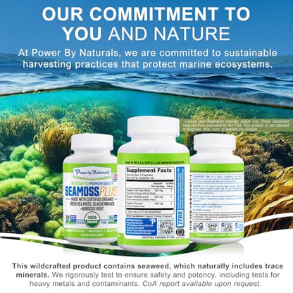 Power By Naturals Sea Moss Plus – Organic Irish Sea Moss with Bladderwrack & Burdock Root, 60 Capsules, 2 Pack