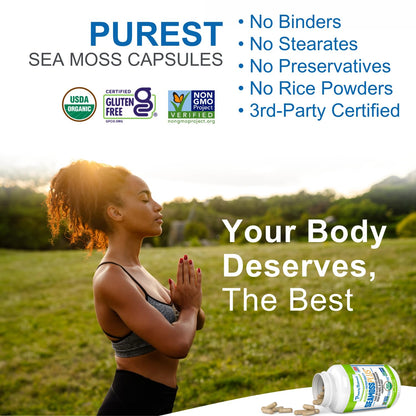 Power By Naturals Sea Moss Plus – Organic Irish Sea Moss with Bladderwrack & Burdock Root, 60 Capsules, 2 Pack