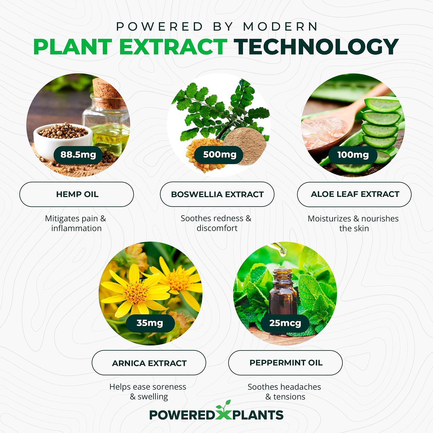 Powered X Plants Hemp Oil Roll On – Menthol, Boswellia & Arnica | 12,000mg Extra Strength