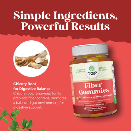 Prebiotic Fiber Gummies for Adults – High-Fiber Vitamin Gummies with Inulin & Chicory Root (Non-GMO, Vegan, Halal, 60 Count)