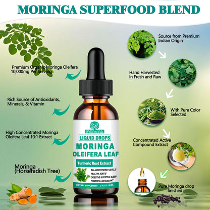 Organic Moringa Liquid Drops with Turmeric, Black Pepper & Vitamin C | Moringa Oleifera
