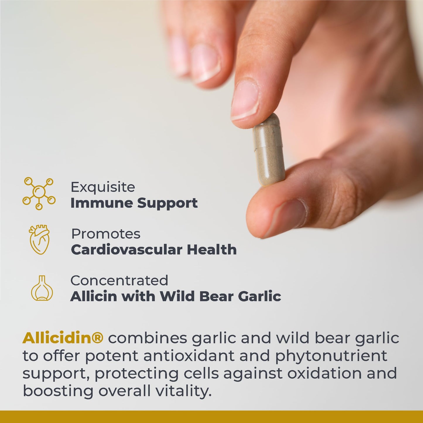 Premier Research Labs Allicidin Garlic Allicin Supplement – Odorless Garlic Capsules for Immune Support (60 Vegetarian Capsules)