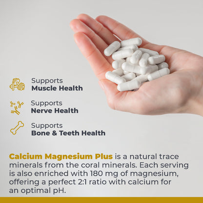 Premier Research Labs Calcium Magnesium Plus – Calcium Magnesium Supplement with Mushroom Complex | 300 Vegetarian Capsules